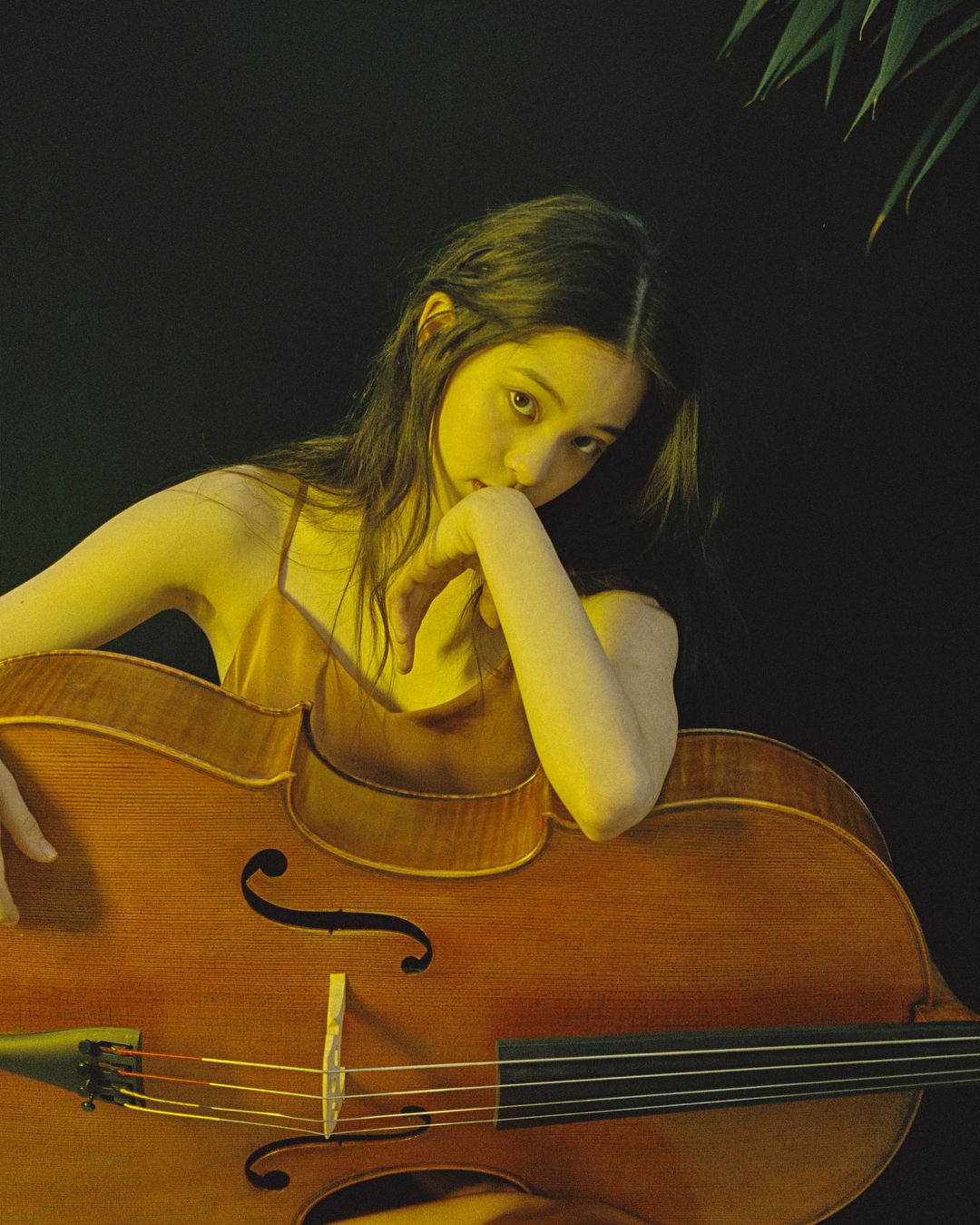 nghe si dan cello au duong mãng cầu na - elle man (4)