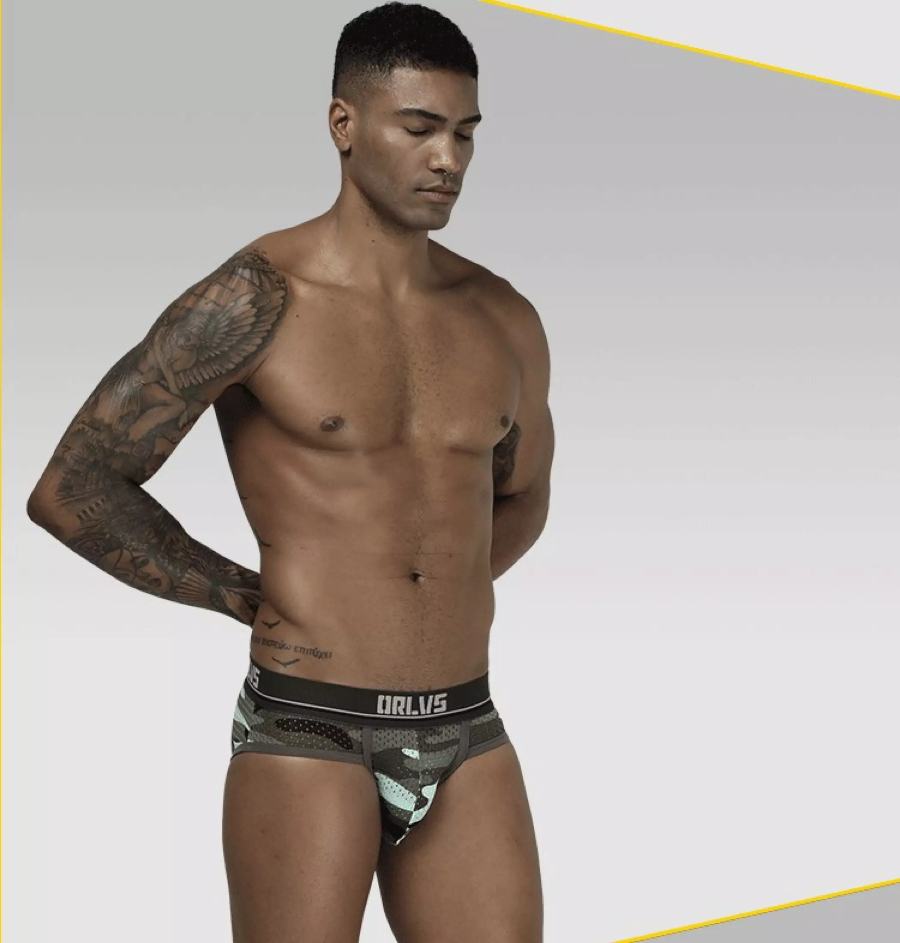 Mesh Men Briefs Underwear OR187