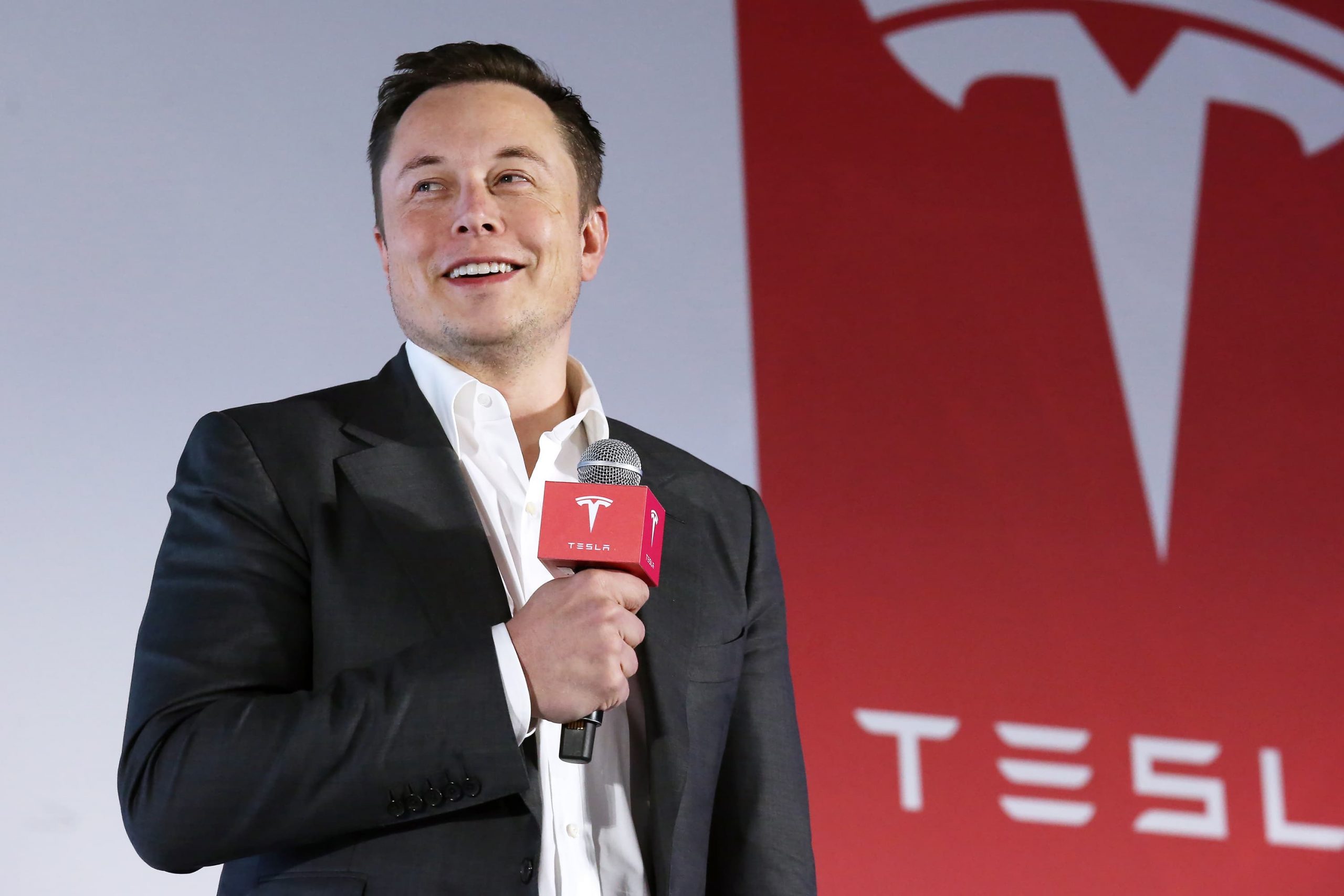 CEO Tesla Elon Musk 