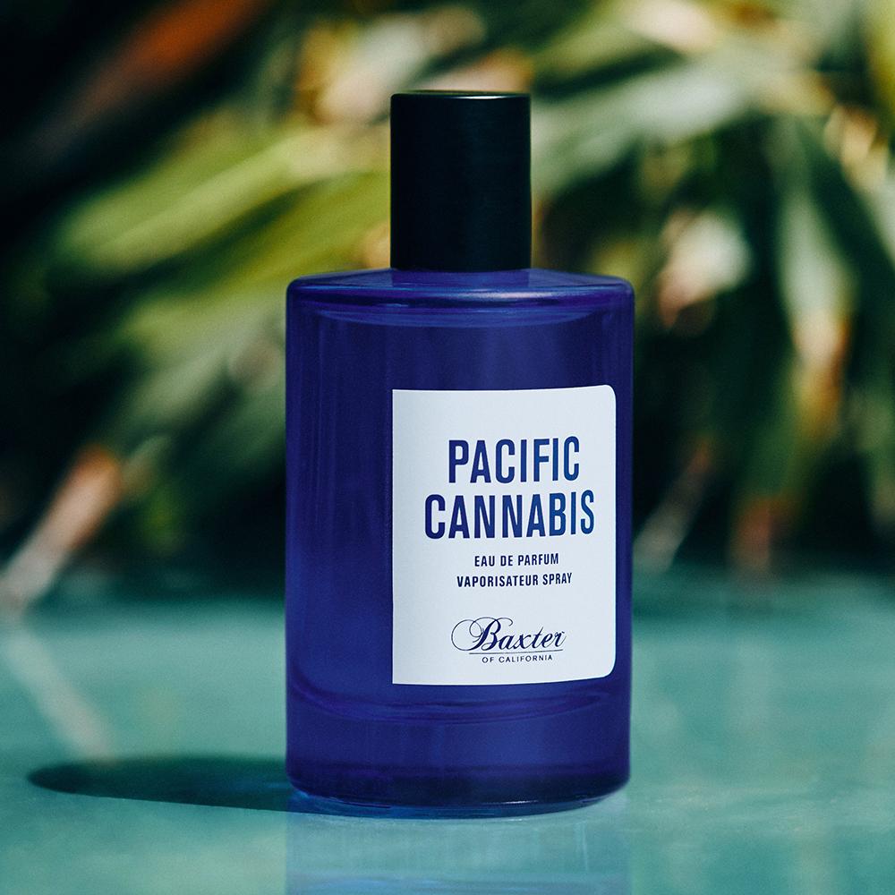 Baxter-Pacific-cannabis