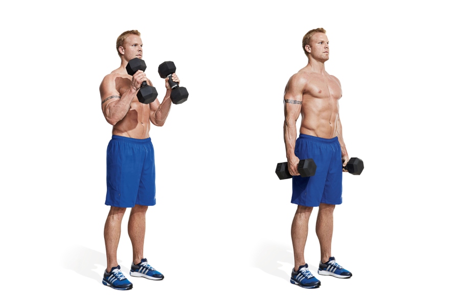 Dumbbell Biceps Curl