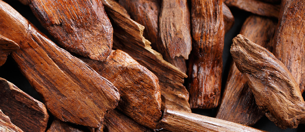 Gỗ đàn hương - một trong những loại gỗ đắt đỏ và sang trọng nhất thế giới là nguồn cảm hứng cho rất nhiều chai nước hoa dành cho nam giới.