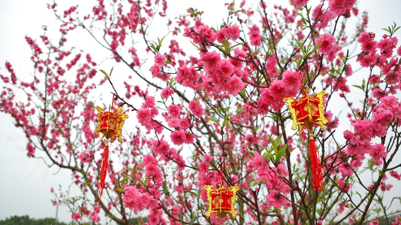 Tết Nguyên Đán xưa