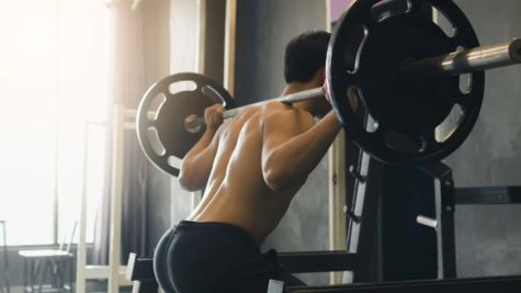 Leg press và squat: Đâu là bài tập chân dành cho bạn?