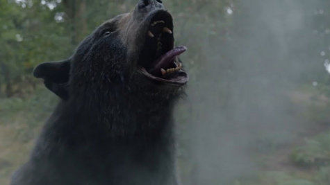 Review "Cocaine Bear": Câu chuyện về chú gấu "phê pha" gây sốt