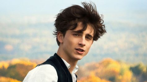 Những lần biến hóa của Timothée Chalamet trong điện ảnh